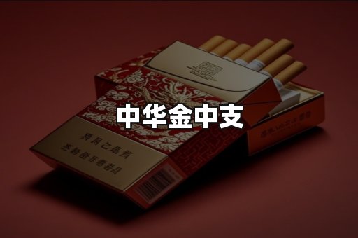 中华金中支